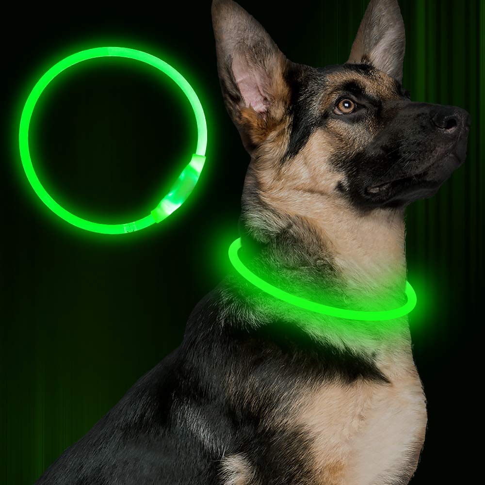 Pet Flashing Collar USB Rechargeable Glowing Necklace Safety Collar Light Up Collars For Night Walking Electric Dog Collar Neon - Waggley Tails