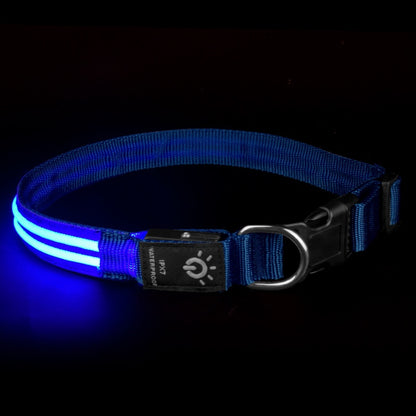 Night Waterproof Lighting Collar Night - Waggley Tails